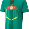 PUMA Senegal '22 Away Replica Jersey For Men -PUMA Sales 2022 unnamed file 1237