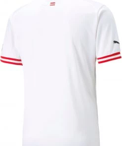 PUMA Austria '22 Away Replica Jersey For Men -PUMA Sales 2022 unnamed file 1305