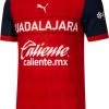 PUMA Chivas '21 Third Replica Jersey For Men 2 PUMA Chivas '21 Third Replica Jersey For Men -PUMA Sales 2022 unnamed file 1377