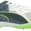 PUMA EvoSpeed Haraka 6 Track And Field Shoes For Women White/green 2 PUMA EvoSpeed Haraka 6 Track And Field Shoes For Women White/green -PUMA Sales 2022 unnamed file 2350