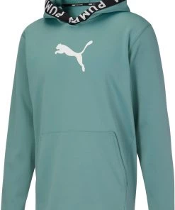 PUMA Train Power Fleece Hoodie For Men Grape Leaf