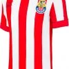 PUMA Men's Chivas 115th Anniversary Home Replica Jersey -PUMA Sales 2022 unnamed file 341